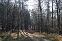 Rostoczek 11.2008 381